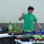 Ausstellung über fleischfressende Pflanzen in Frammersbach. Gartenausstellung über fleischfressende Pflanzen in Frammersbach.