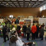 Fleischfressende Pflanzen, Samenfestival in der Wertheimer Main-Tauber Halle 2024. Fleischfressende Pflanzen, Samenfestival in Wertheim 2024