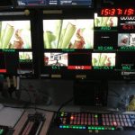 Fleischfressende Pflanzen, Frankenschau bei Carnivor-Plants. Fleischfressende Pflanzen, Frankenschau Carnivor Plants