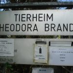Carnivor-Plants zu Besuch im Tierheim Wertheim. Tierheim Wertheim