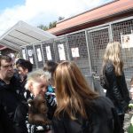 Carnivor-Plants besucht das Tierheim Wertheim. Tierheim Wertheim