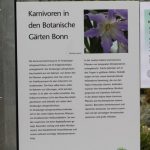 Fleischfressende Pflanzen, Info auf der Ausstellung EEE in Bonn. Fleischfressende Pflanzen Ausstellung EEE Bonn