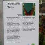 Fleischfressende Pflanzen, Infomaterial auf der Ausstellung EEE in Bonn. Fleischfressende Pflanzen auf der Ausstellung EEE in Bonn.
