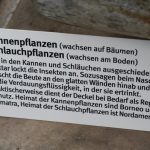 Fleischfressende Pflanzen, Hinweisschild auf der Ausstellung EEE in Bonn. Fleischfressende Pflanzen, Ausstellung EEE Bonn