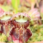 Ausstellung EEE Bonn