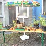 Fleischfressende Pflanzen im Außenbereich der Ausstellung 2006. fleischfressende Pflanzen Messe 2006