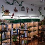 Ausstellung über fleischfressende Pflanzen bei Carnivor-Plants im Innenbereich 2007 fleischfressende_pflanzen Ausstellung 2007 in Kreuzwertheim.