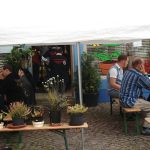 Fleischfressende Pflanzen, Besucher im Außenbereich bei der Ausstellung 2007 bei Carnivor-Plants in Kreuzwertheim. fleischfressende pflanzen 2007