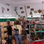 Fleischfressende Pflanzen Ausstellung 2007 bei Carnivor-Plants mit Besuchern. fleischfressende pflanzen Ausstellung 2007.