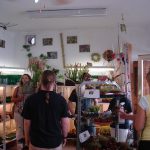 Besucher im Innenbereich, bei der Ausstellung über fleischfressende Pflanzen 2008. fleischfressende pflanzen