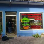 Fleischfressende Pflanzen, Reportage des Bayerischen Rundfunks über Carnivor-Plants. Fleischfressende Pflanzen, Reportage, Frankenschau Carnivor Plants