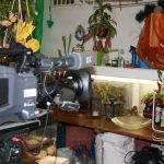 Fleischfressende Pflanzen, Live Übertragung der Frankenschau bei Carnivor-Plants. Fleischfressende Pflanzen, Frankenschau Carnivor Plants