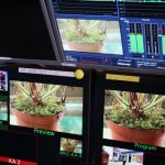 Fleischfressende Pflanzen, Live Übertragung des Bayerischen Rundfunks bei Carnivor-Plants. Fleischfressende Pflanzen, Reportage, Frankenschau Carnivor Plants