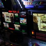 Fleischfressende Pflanzen, Live Übertragung des Bayerischen Rundfunks bei Carnivor-Plants. Fleischfressende Pflanzen, Frankenschau Carnivor Plants