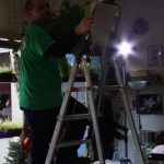 Fleischfressende Pflanzen, Reportage des BR bei Carnivor-Plants. Fleischfressende Pflanzen Reportage, Frankenschau Carnivor Plants