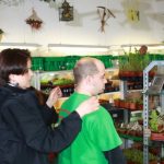 Fleischfressende Pflanzen, Live Übertragung der Frankenschau bei Carnivor-Plants. Fleischfressende Pflanzen, Reportage von Frankenschau bei Carnivor Plants.